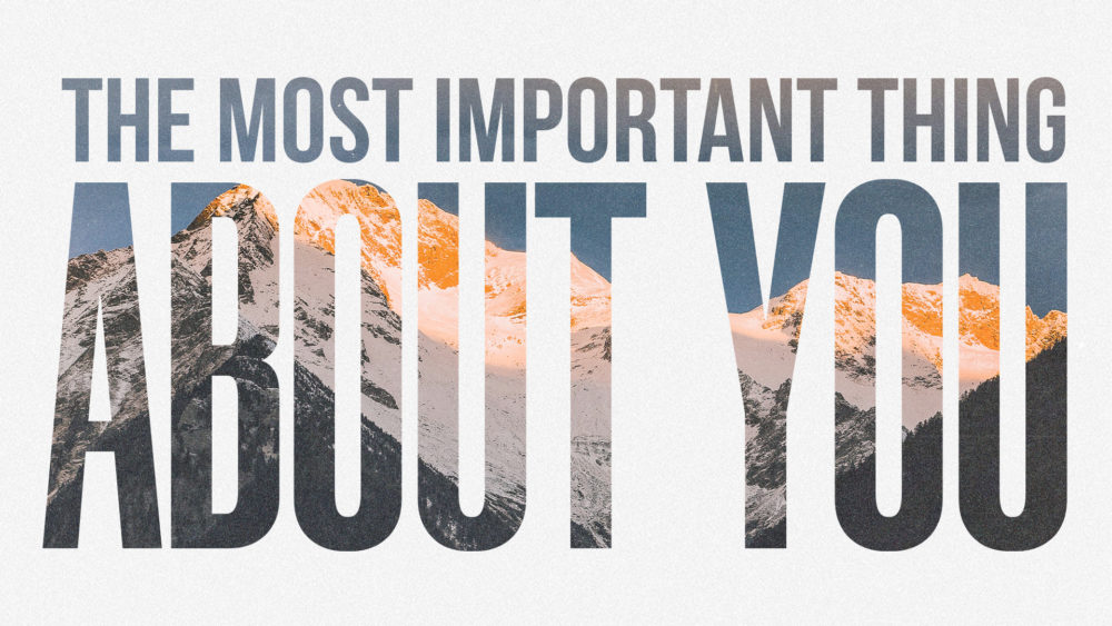 The Most Important Thing About You 